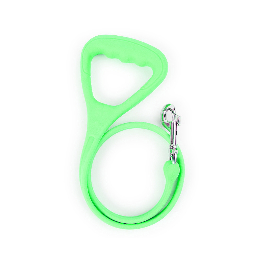 Dog Leash 1