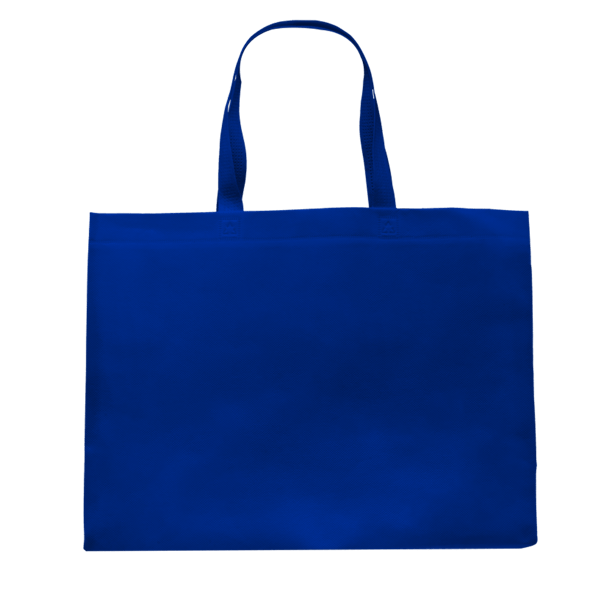 Pegasus Delhi Jumbo Size Tote Bag 22