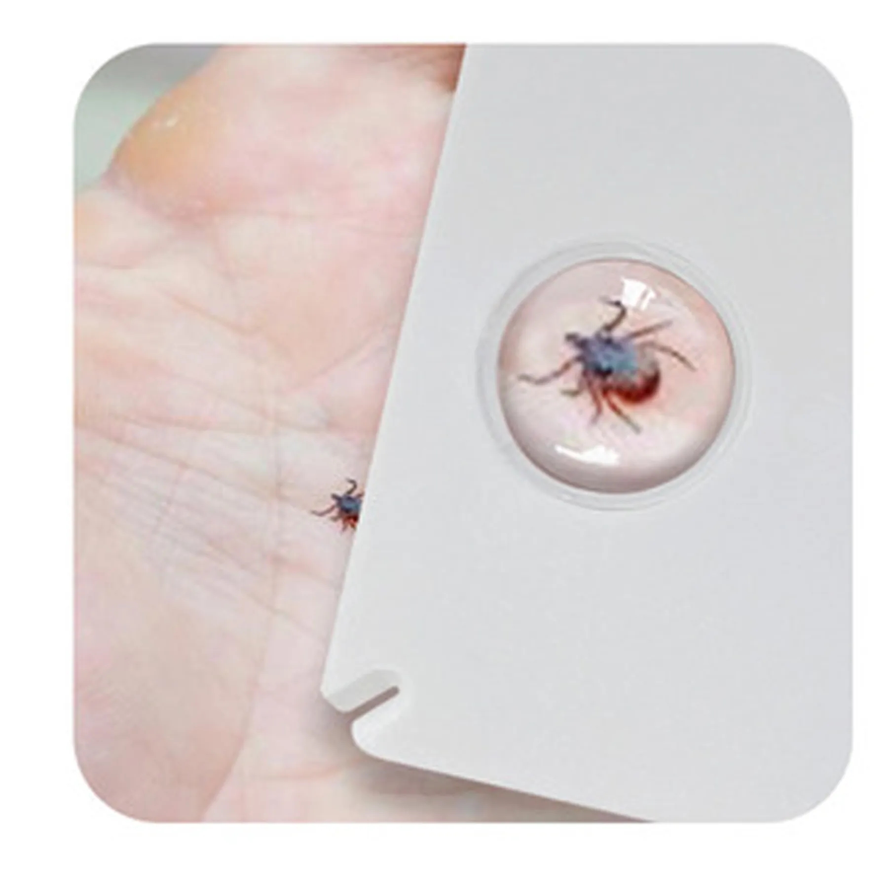 Tick Remover 6