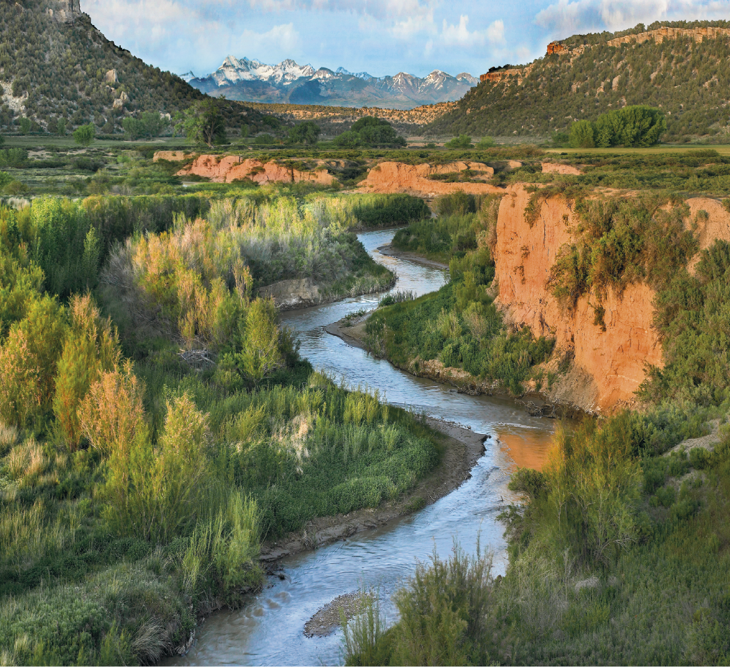 Good Value™ Landscapes of America - Mini Calendar 63