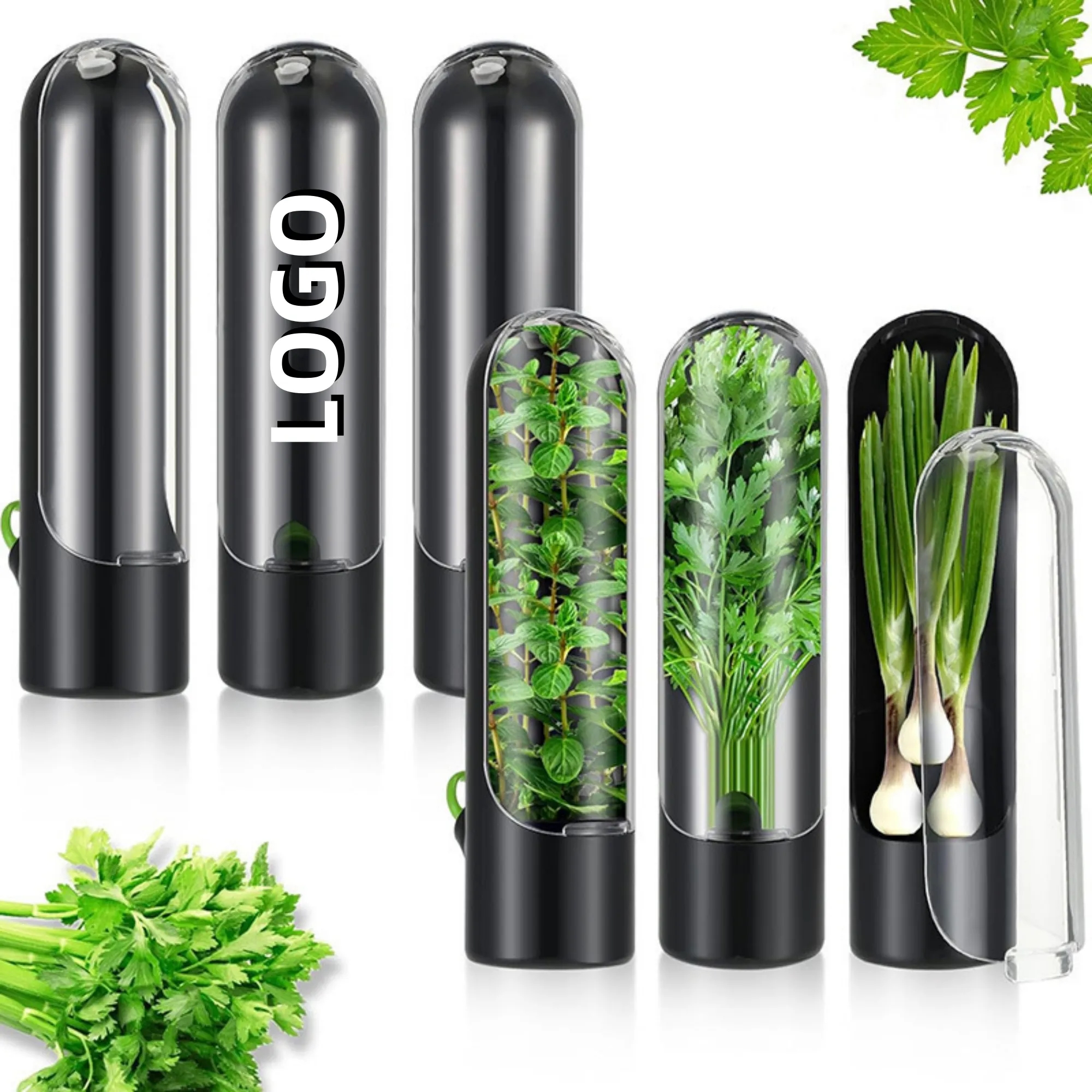 ABS Herb Vegetable Preservation Box 1