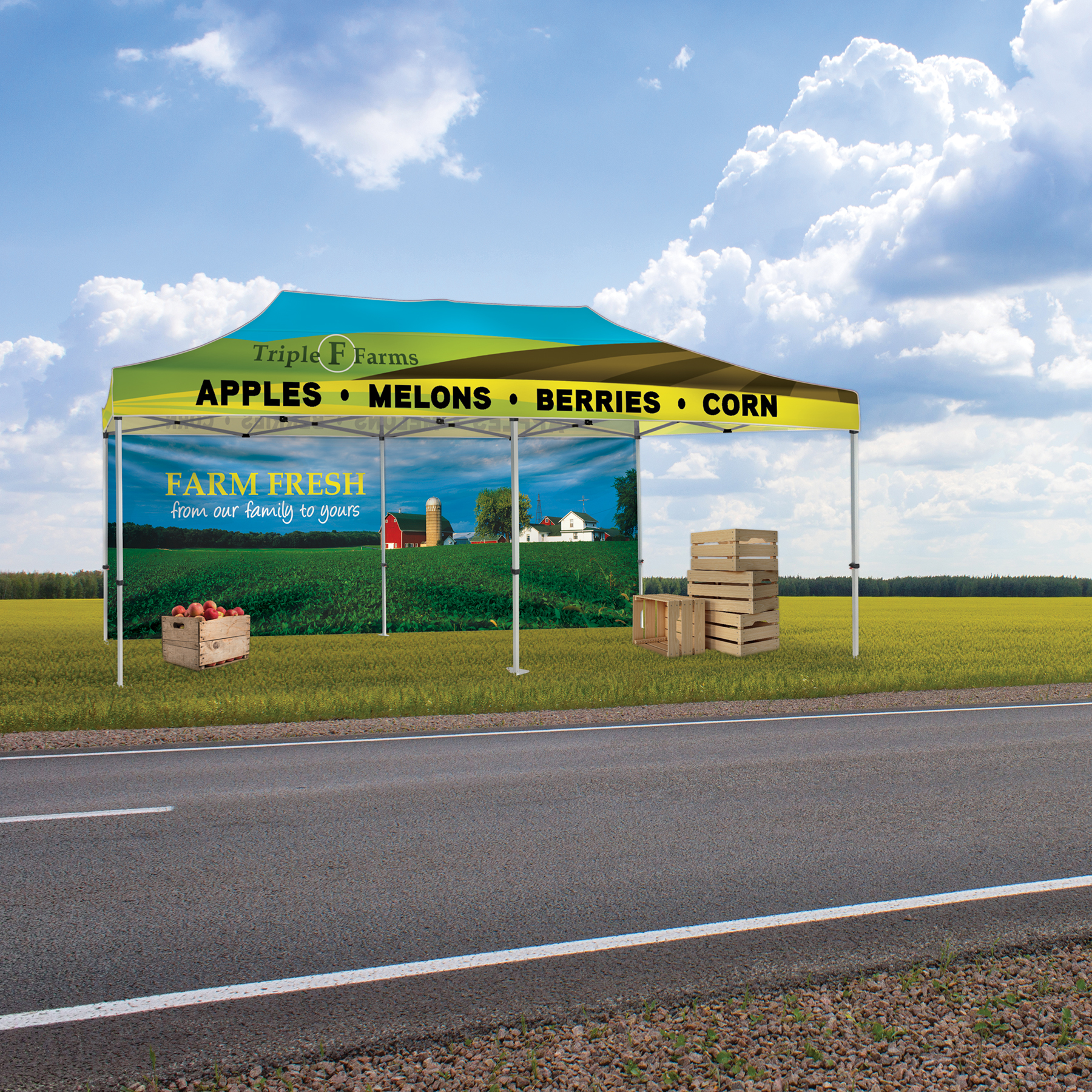 10' x 20' Heavy Duty Canopy Tent with One Full Double Sided Wall 4