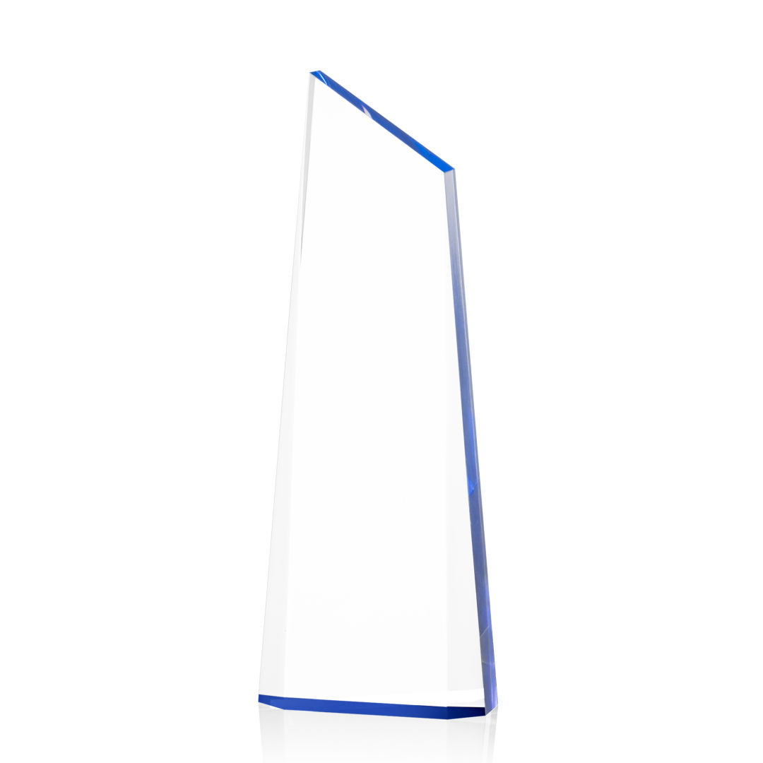 Webster Award 4