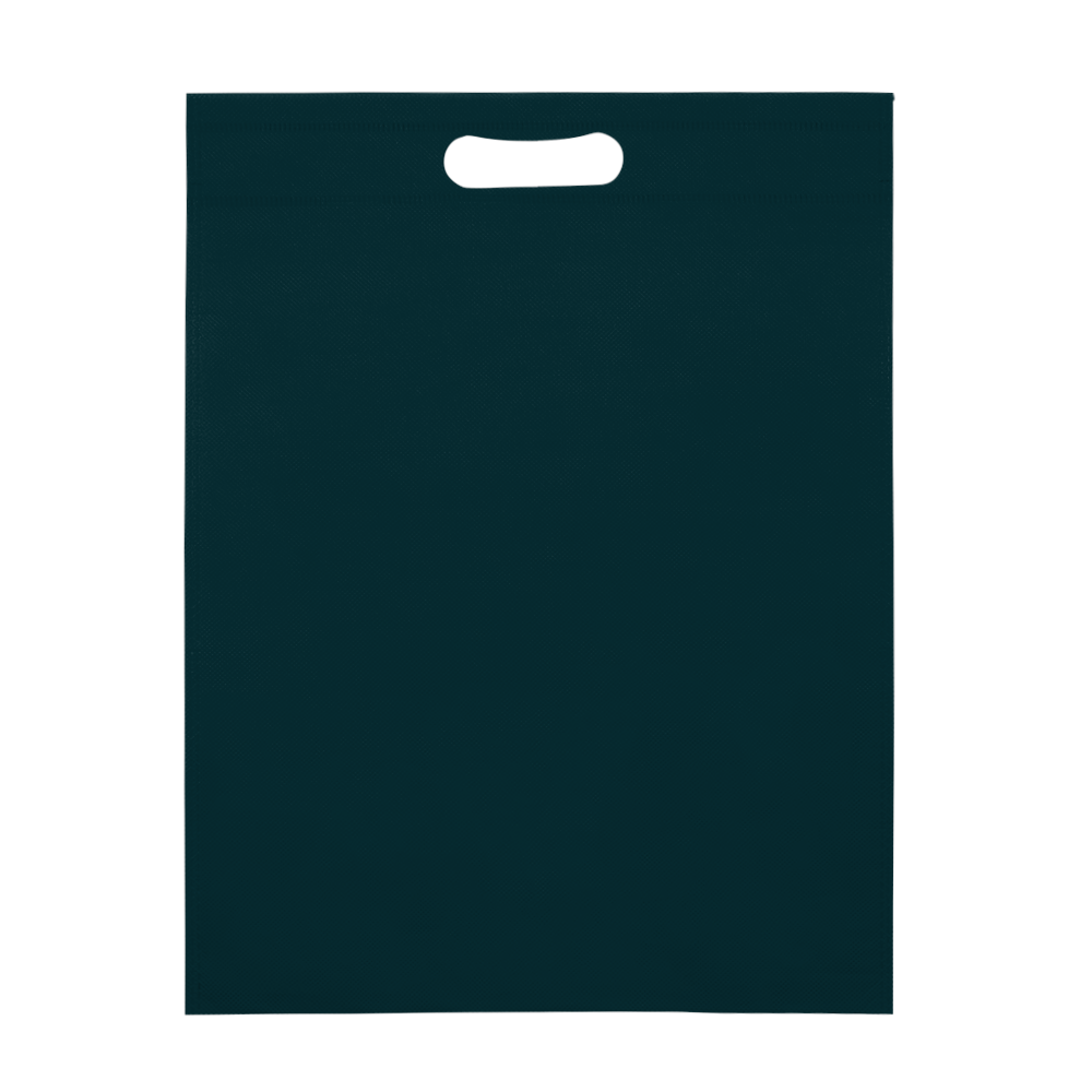 Multipurpose Non-Woven Tote 22