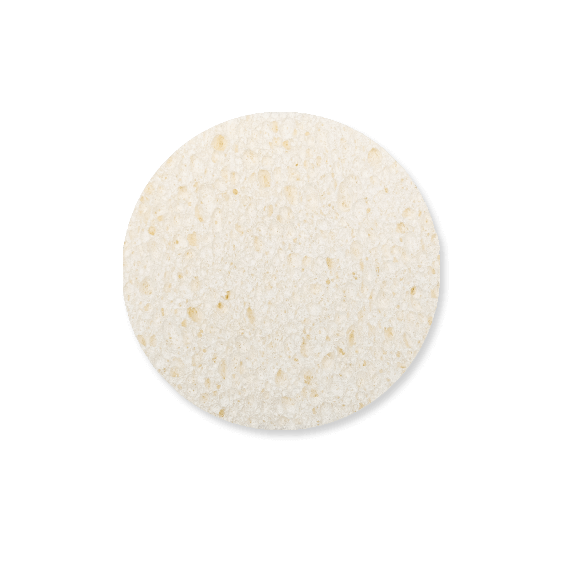 Expand-It Sponge - Round 2