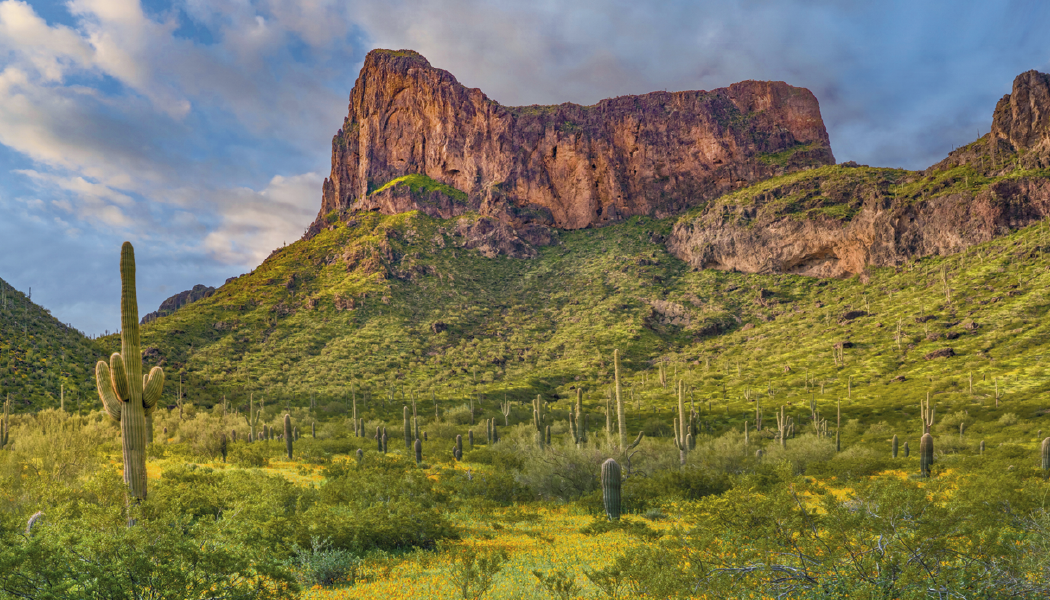 Triumph® Calendars American Splendor with Date Blocks Calendar 18