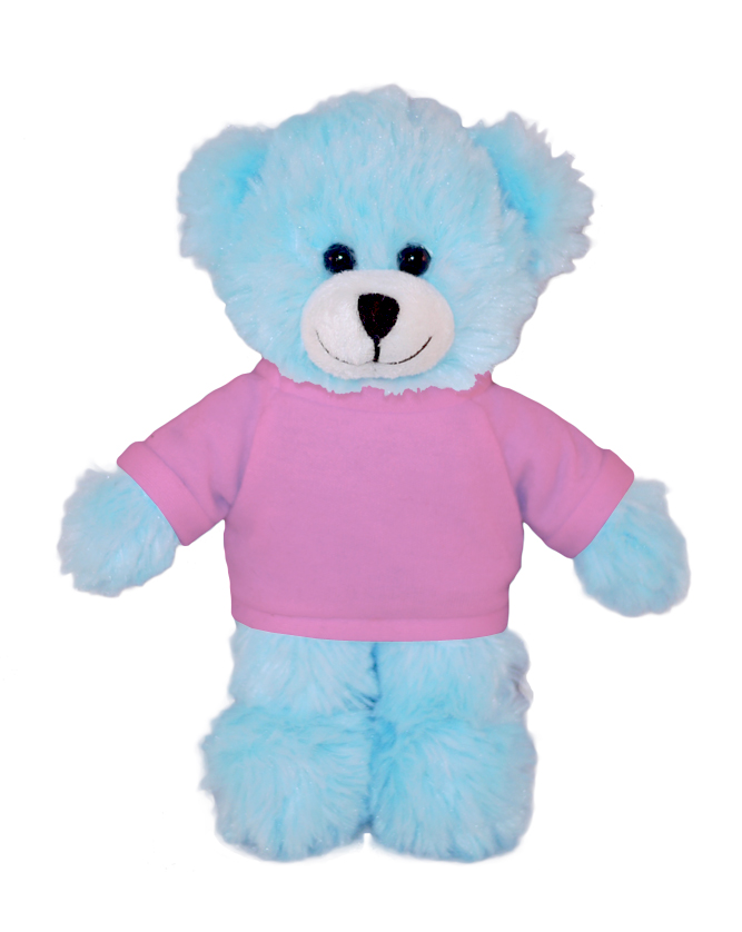 Blue Bear with Tee 18