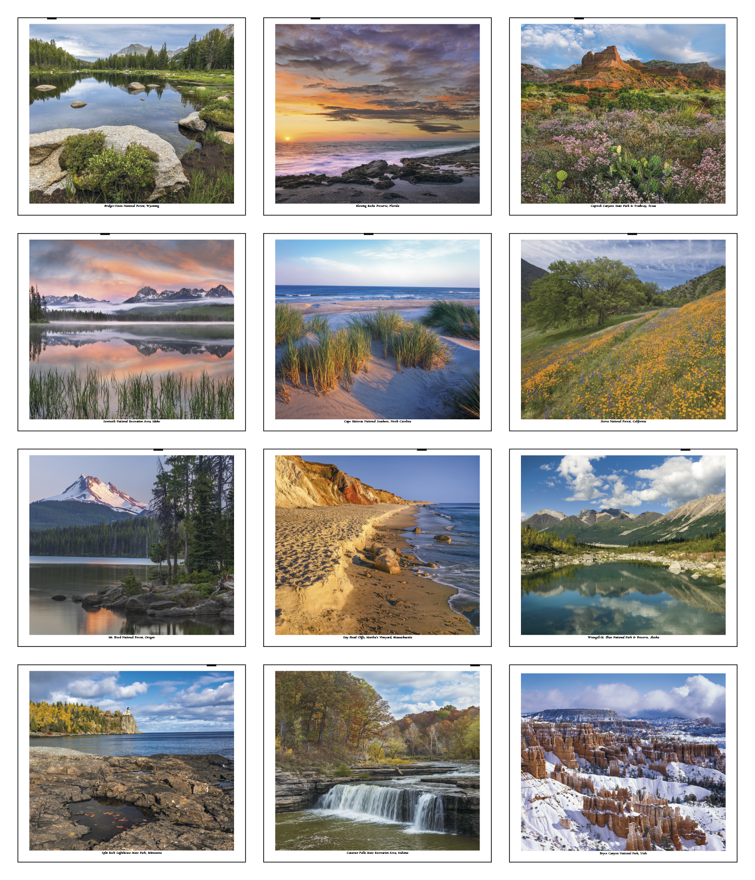 HotLine® Products Scenic America® Pocket Calendar 5