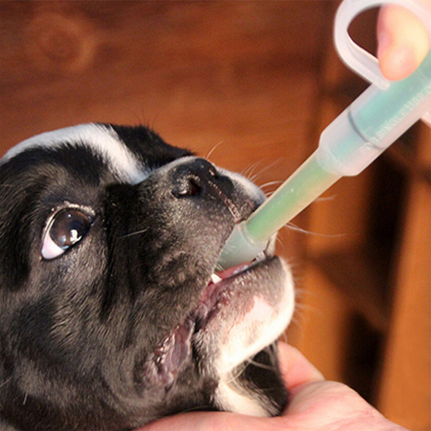 Plastic Pet Universal Needle Feeder 7