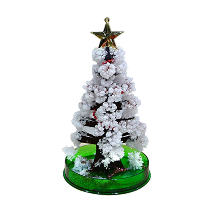 Magic Paper Growing Tree 3