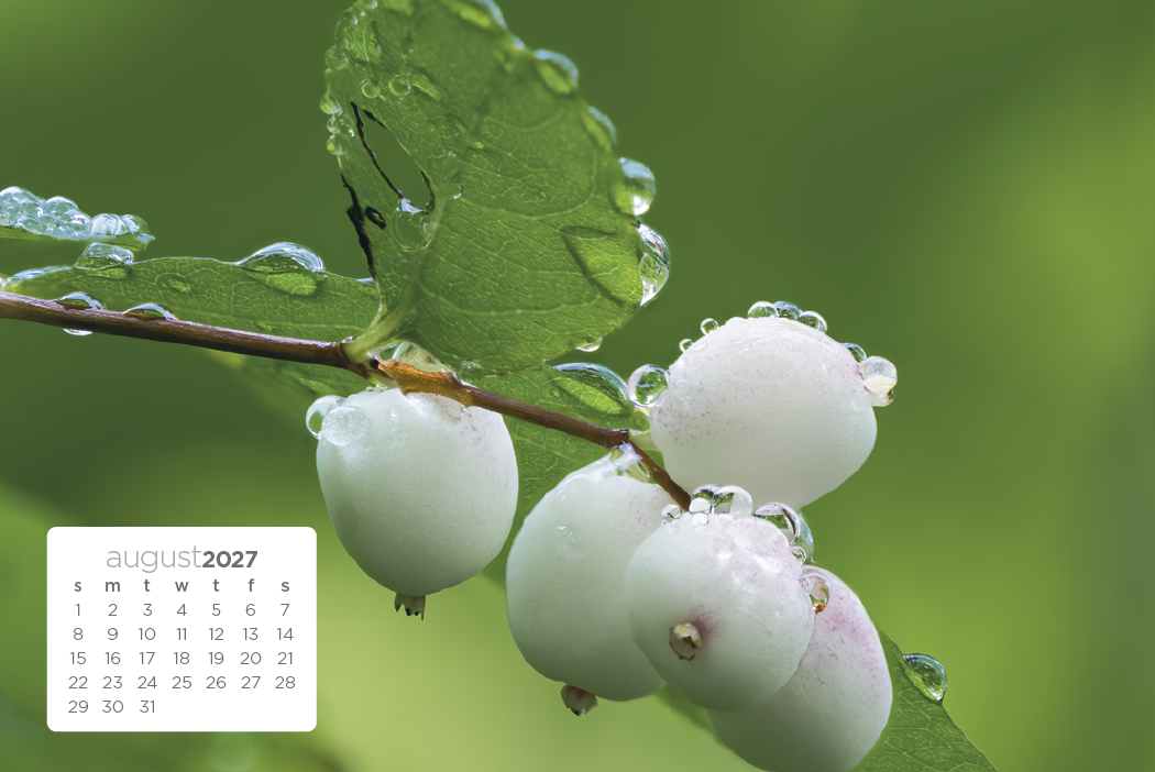 Triumph® Calendars Simplicity Large Desk Calendar 41