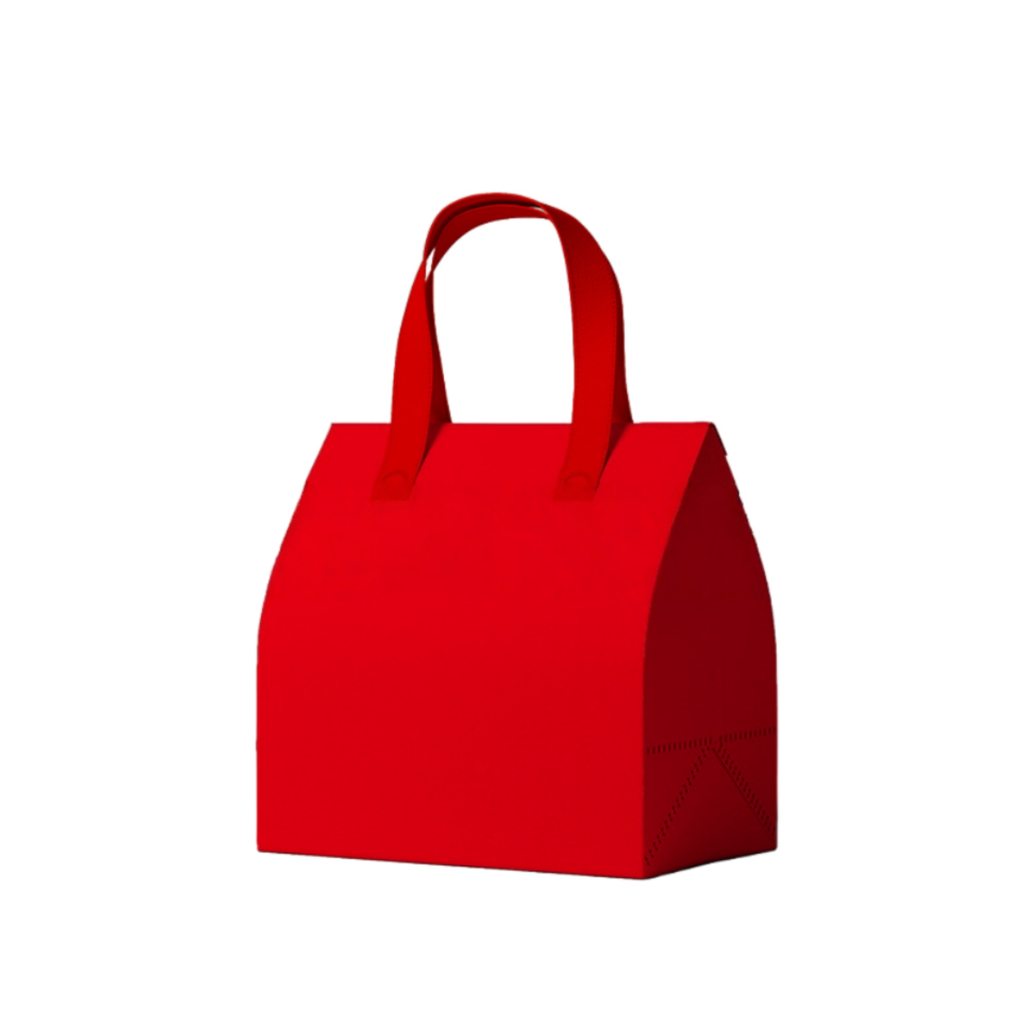 Insulated Take Away Bag 6