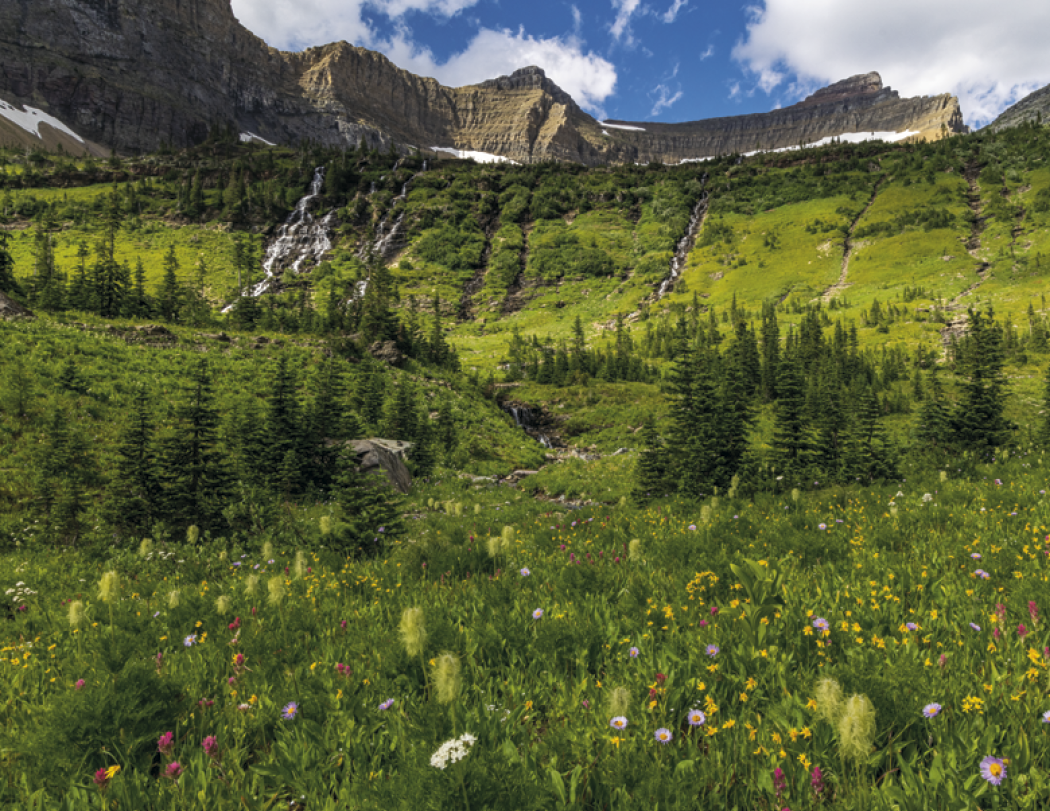 HotLine® Products Catholic Reflections Appointment Calendar - Stapled 68