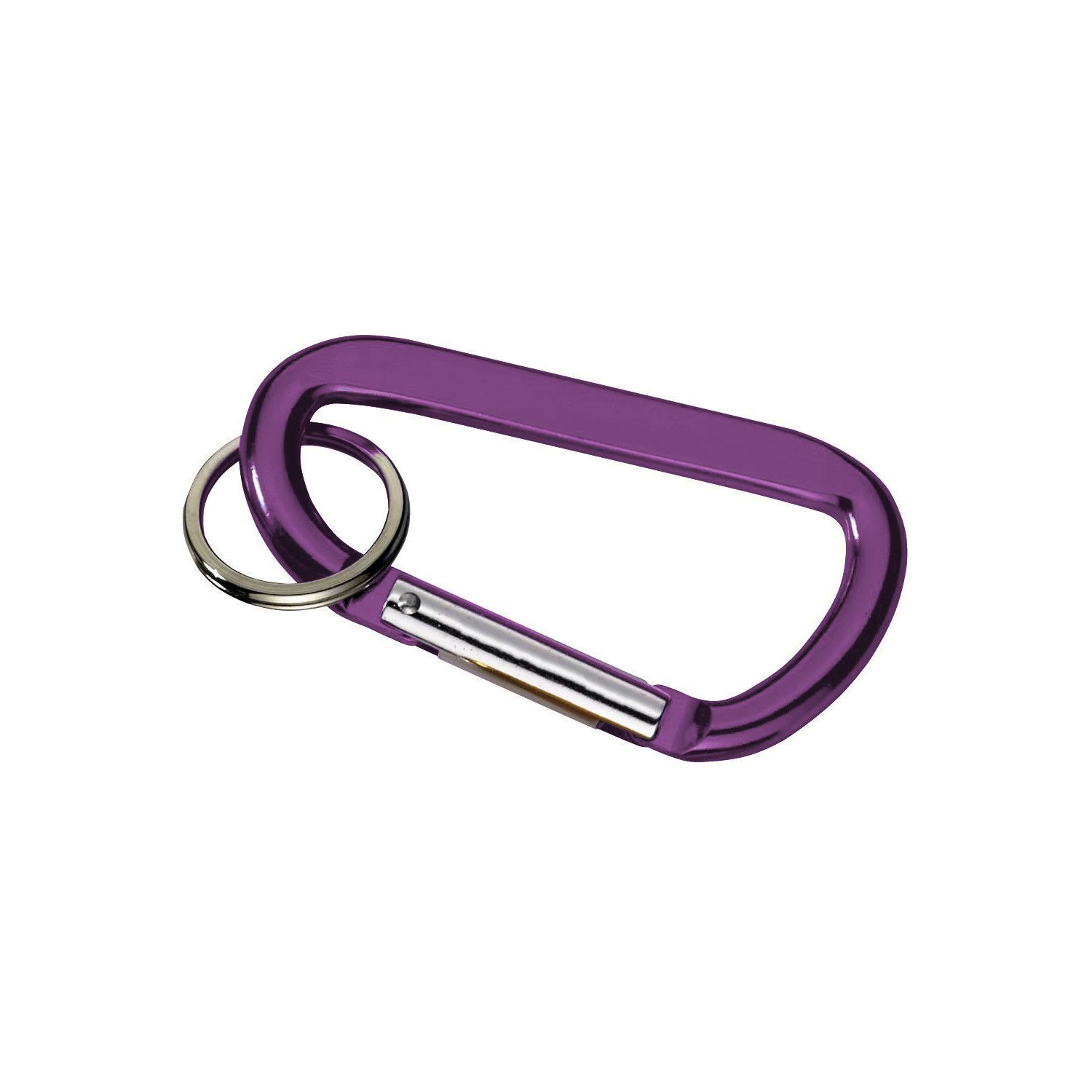 Carabiner with Ring 3