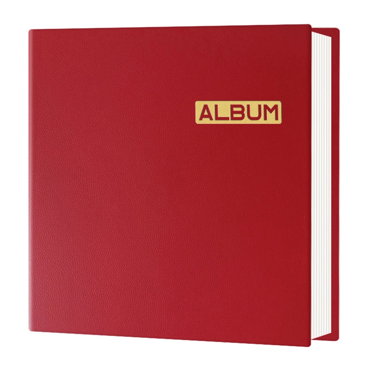 18" Pu Photo Album 4