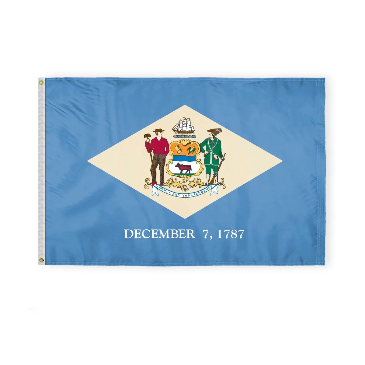 12"x18" to 8'x12' Delaware Nylon Flags 3