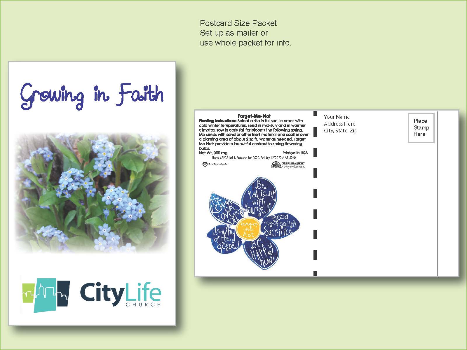 Forget-Me-Not Seed Packet - Postcard Mailer Size 4" x 6.5" 2