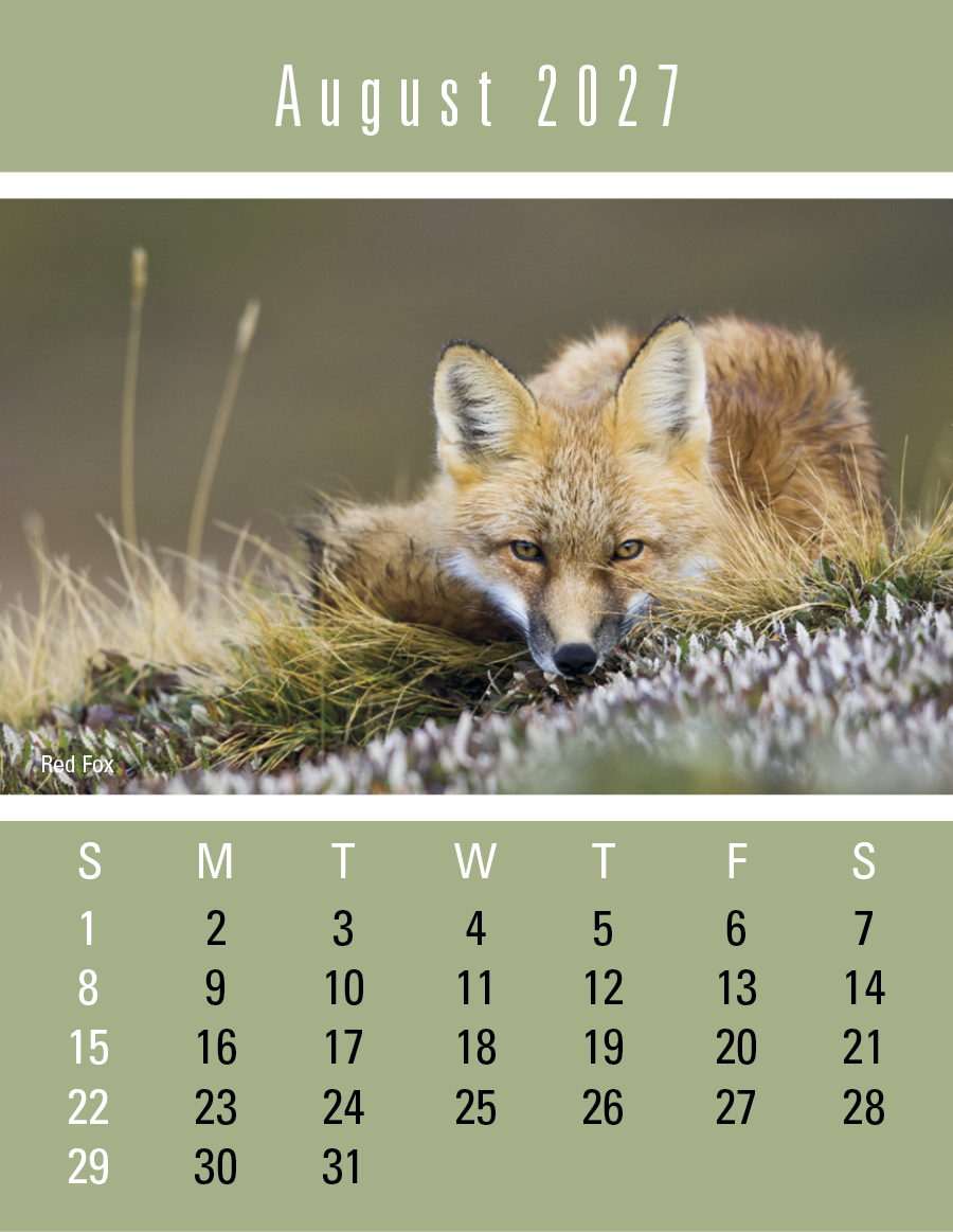 Triumph® Calendars Press-N-Stick Sportsmen Calendar 954