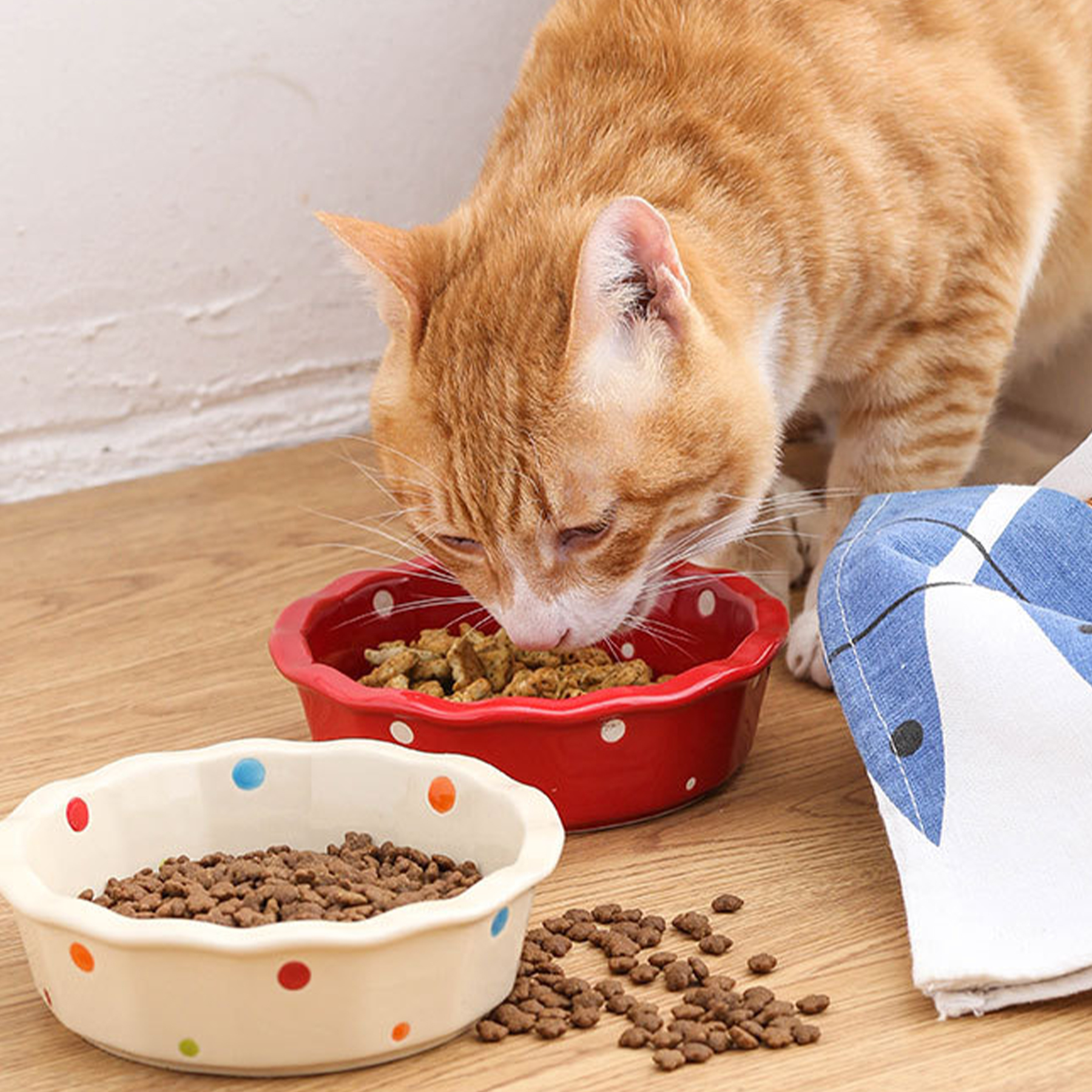 Ceramic Cervical Protection Cat Food Bowl 6