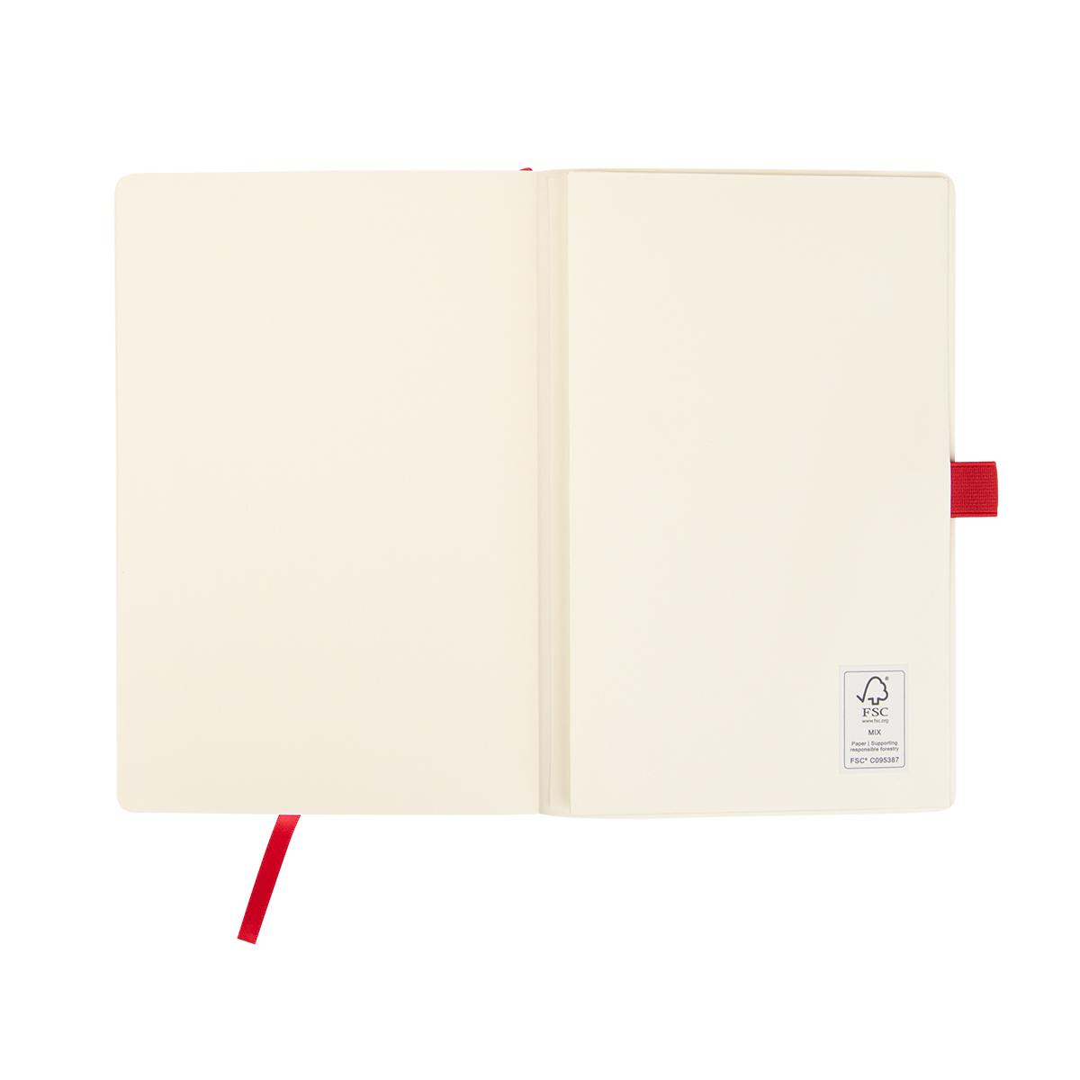 Apple Skin Journal 19