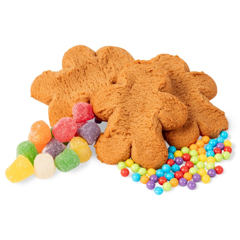Ginger Buddies Decorating Kit 9
