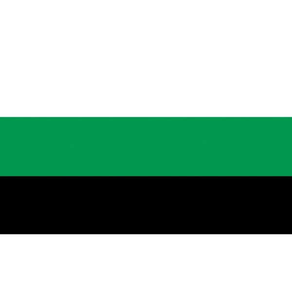Neutrois Deluxe Flag 2