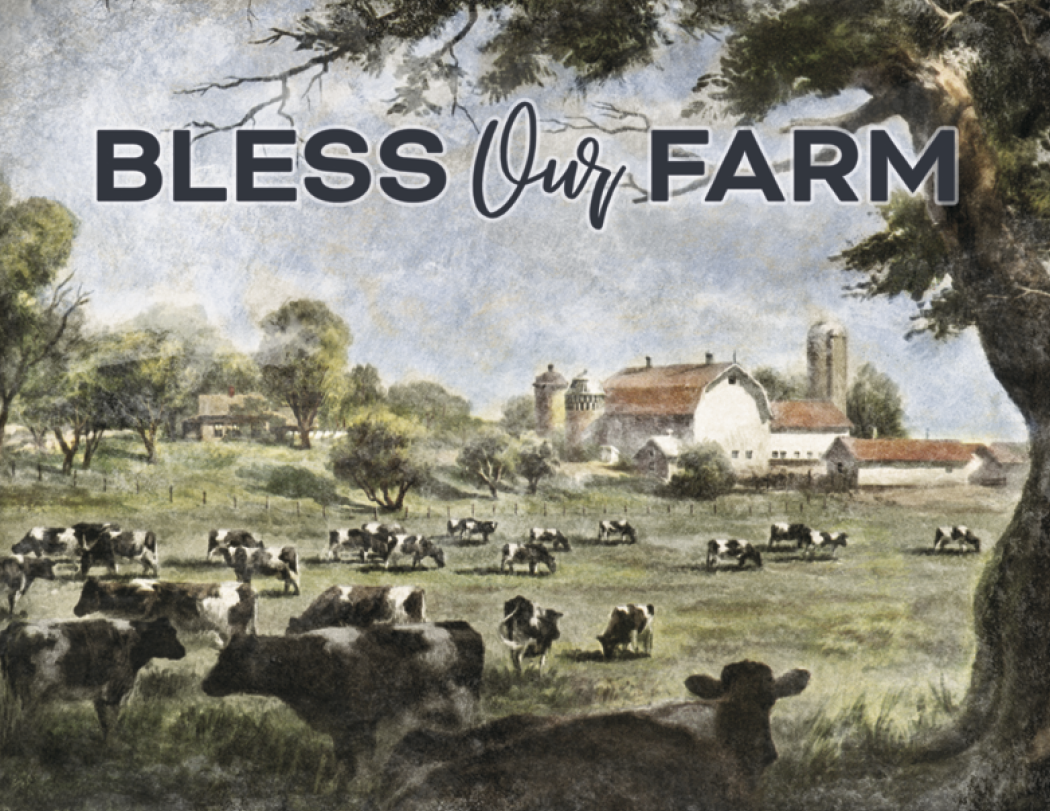 Good Value™ Country Days - Spiral Calendar 12