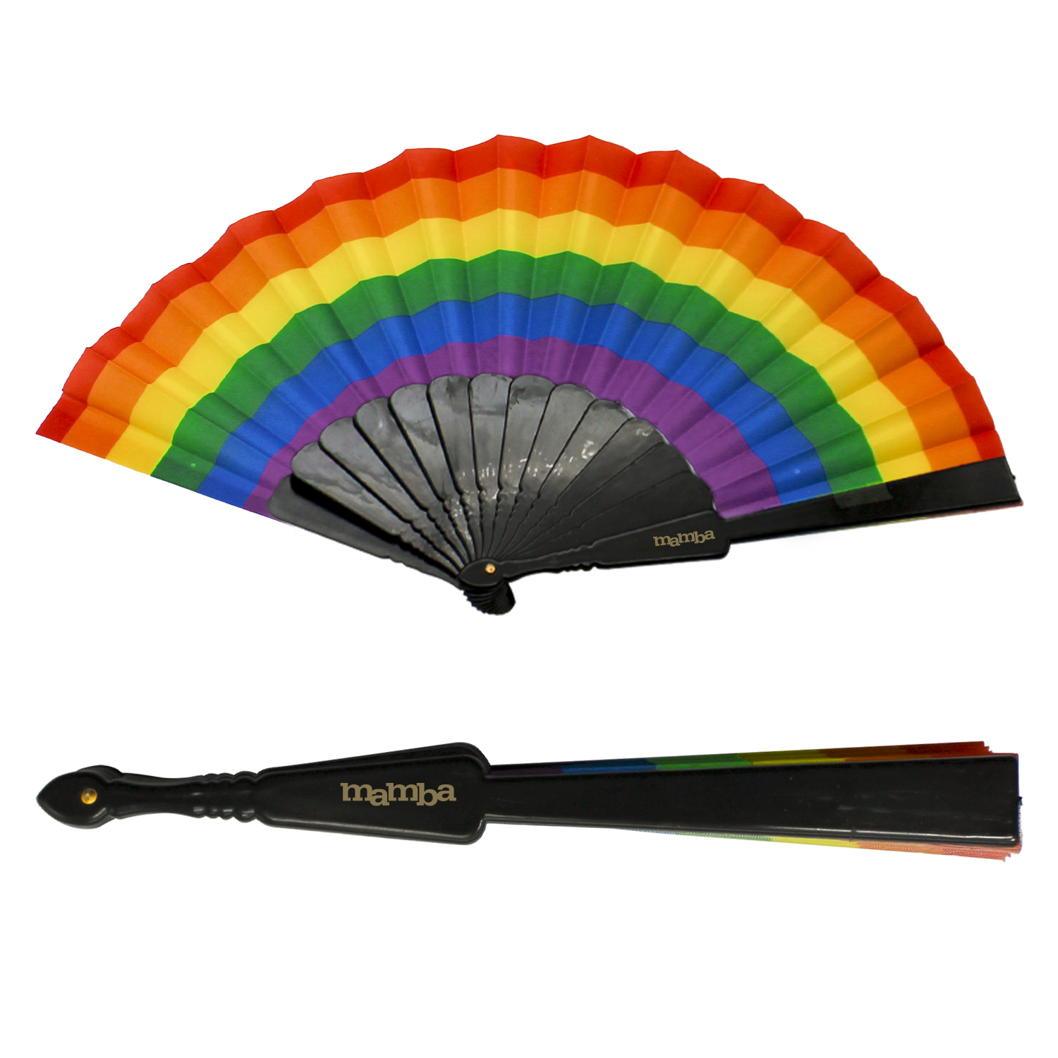 Rainbow Accordion Fan 3