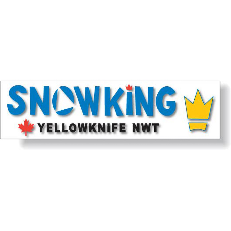 4 Colour Process Removable Matte Vinyl Bumper Decal (2.25"x8.5") 1