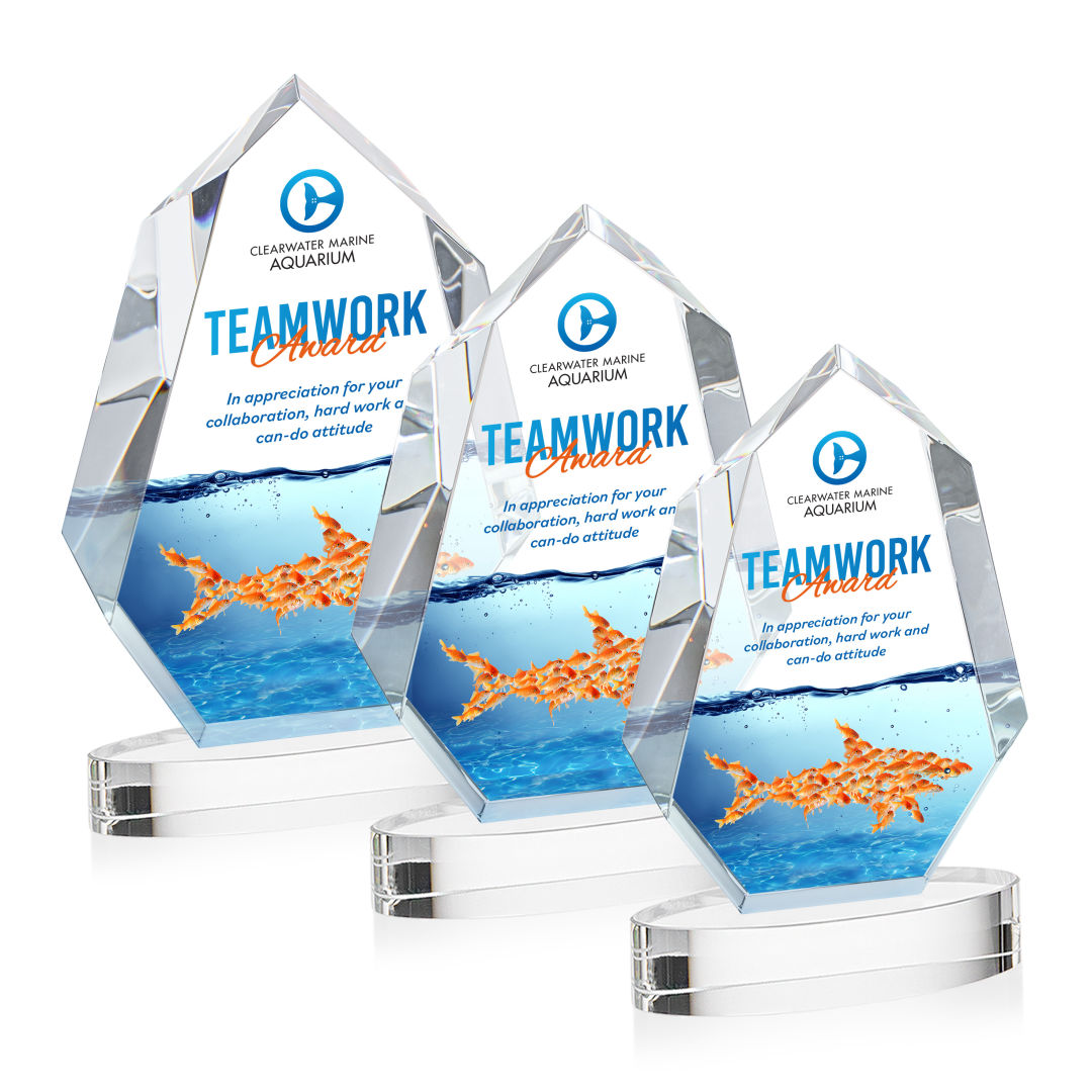 Norwood VividPrint™ Award on Alberton Base - Clear 4