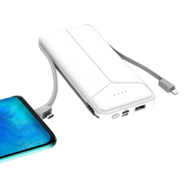 Customized 10000mAh Portable Power Bank 2