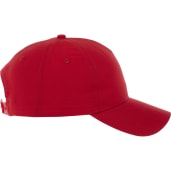 Unisex DOMINATE Ballcap 321