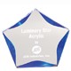 7 Inch Clear / Blue Luminary Star Acrylic Trophy 2