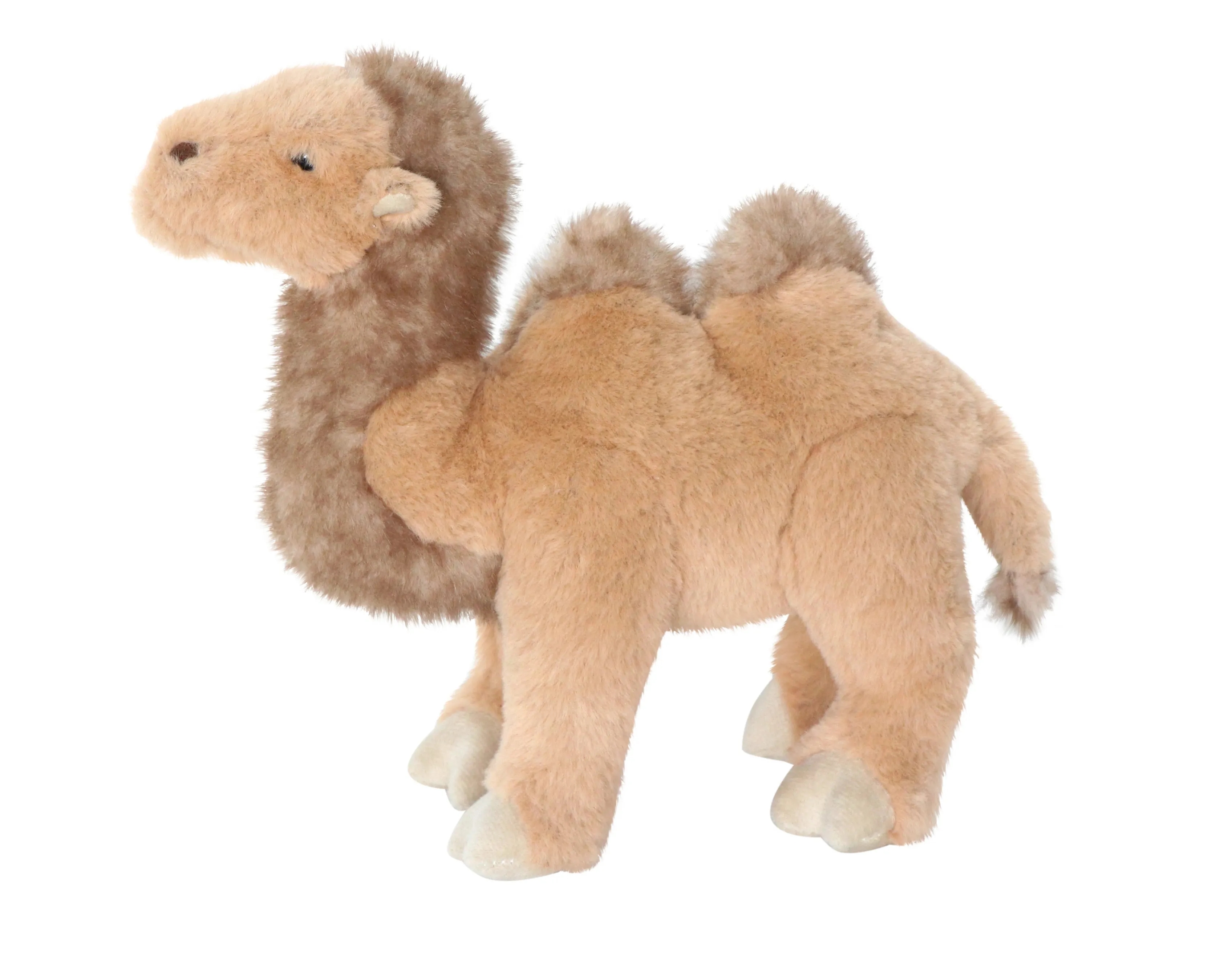 Camel 2