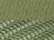 Light Olive Green