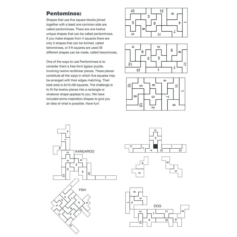 Wood Shapes Challenge Puzzle 13