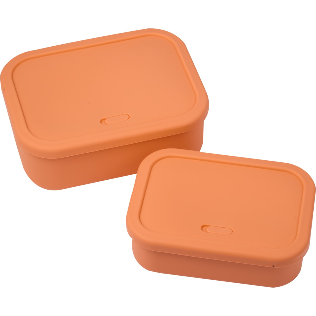 Silicone Food Storage Box with Air Valve - Set of 49