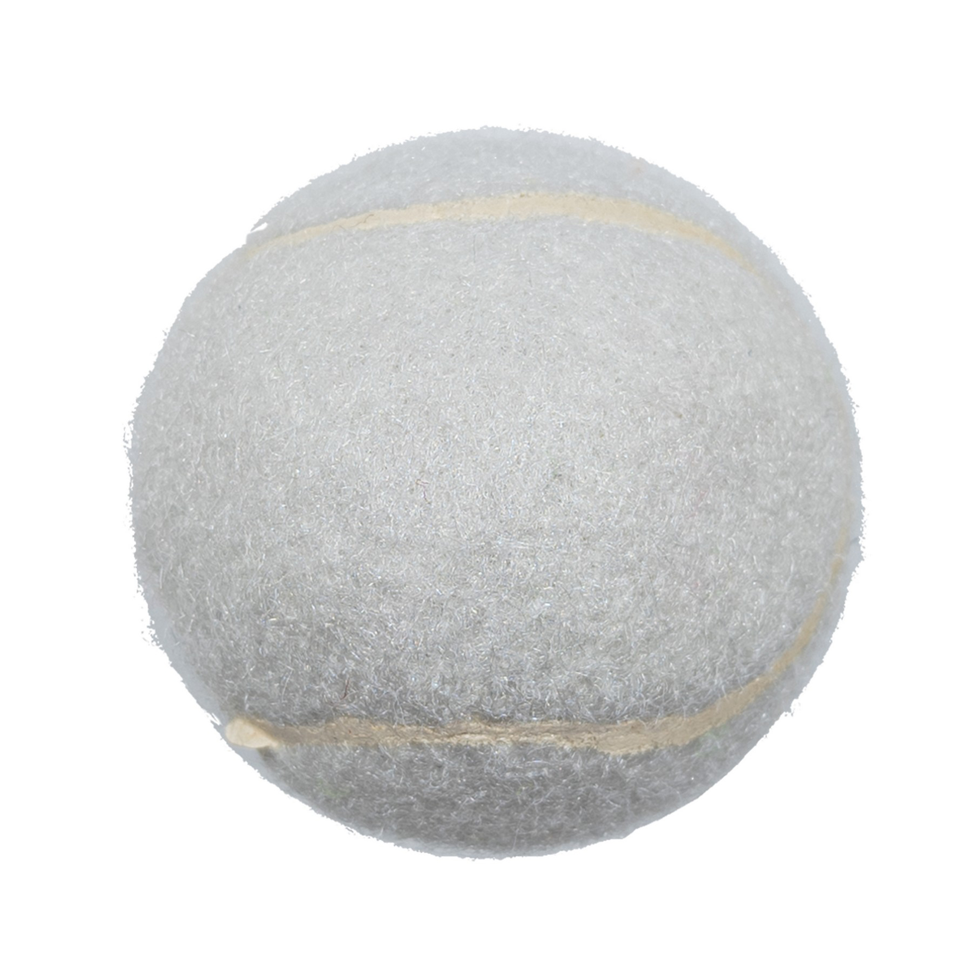 Durable Pet Fetch Toy Tennis Ball Outdoor Fun Dog Exercise 9