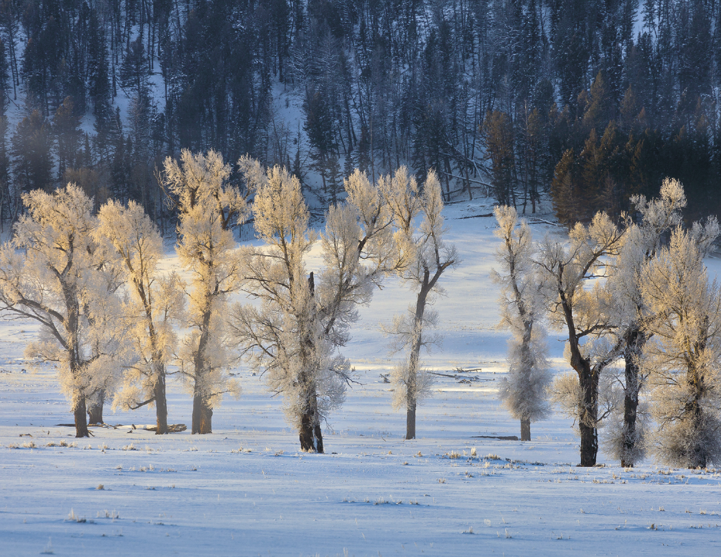 HotLine® Products Catholic Reflections Appointment Calendar - Stapled 8