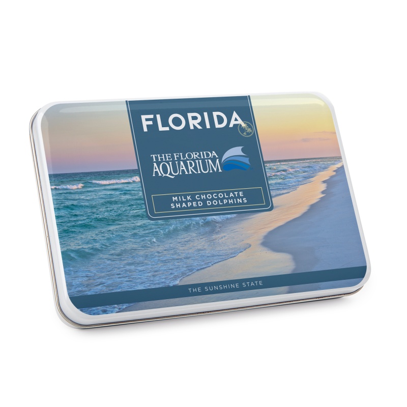 Gift Tin with Dolphin Shaped Chocolates 5