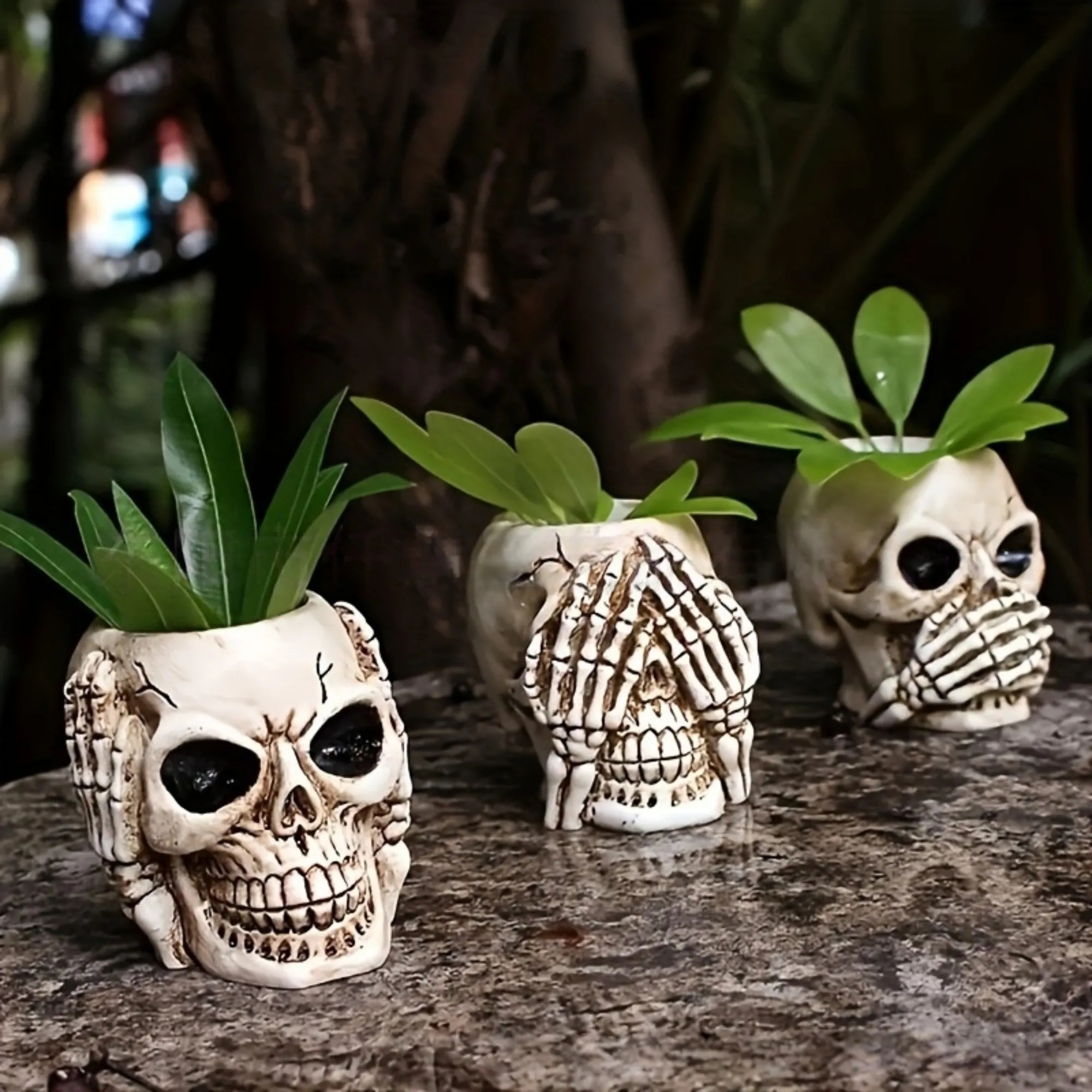 Skull Halloween Planter Flowerpot 3