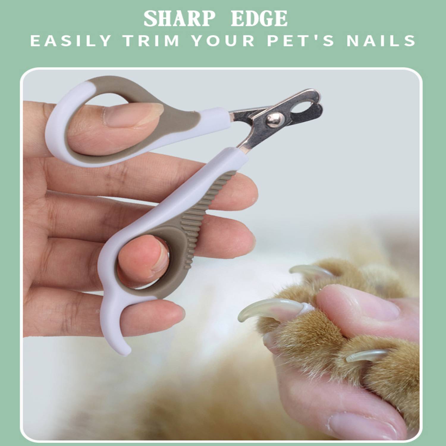 Pet Nail Clippers 3