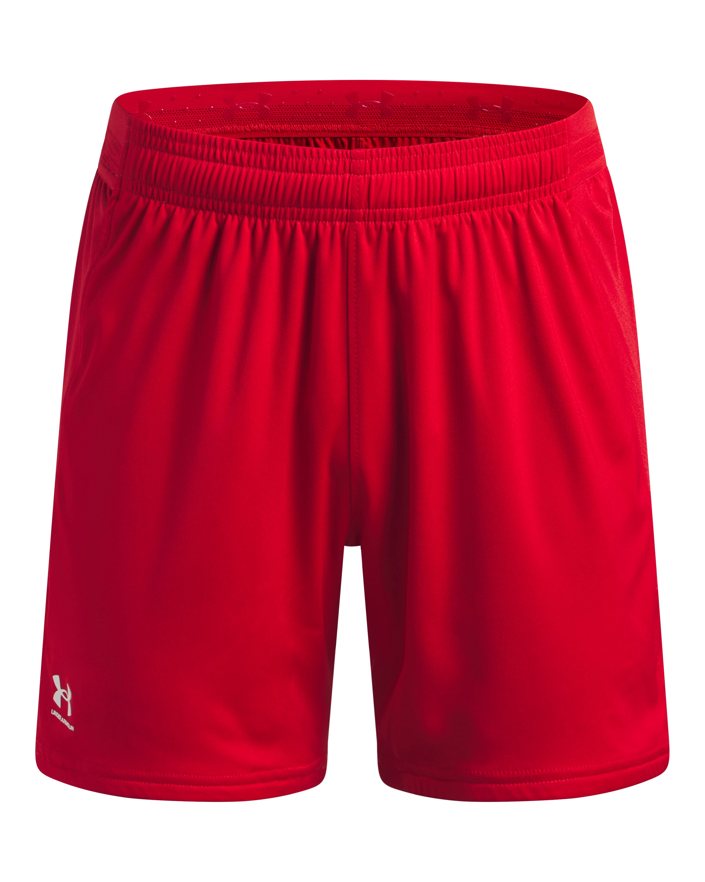 UA Challenger Team Pro Boys' Shorts 5