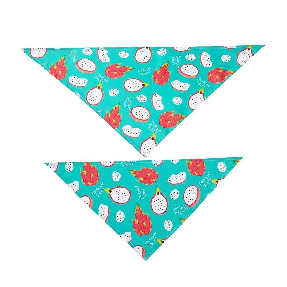 Pet triangle scarf 4