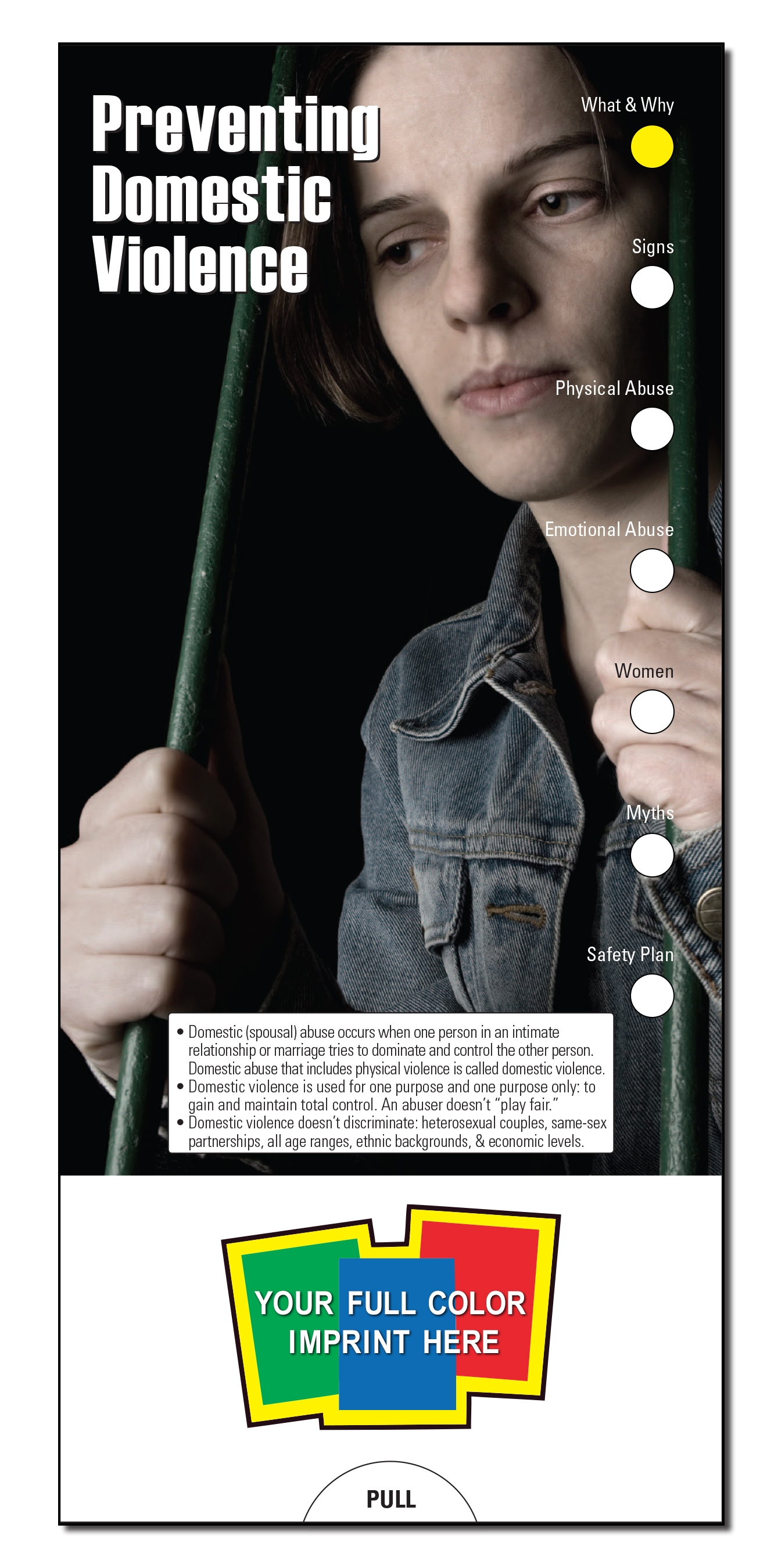 SLIDE CHART - Preventing Domestic Violence Slide Chart 1
