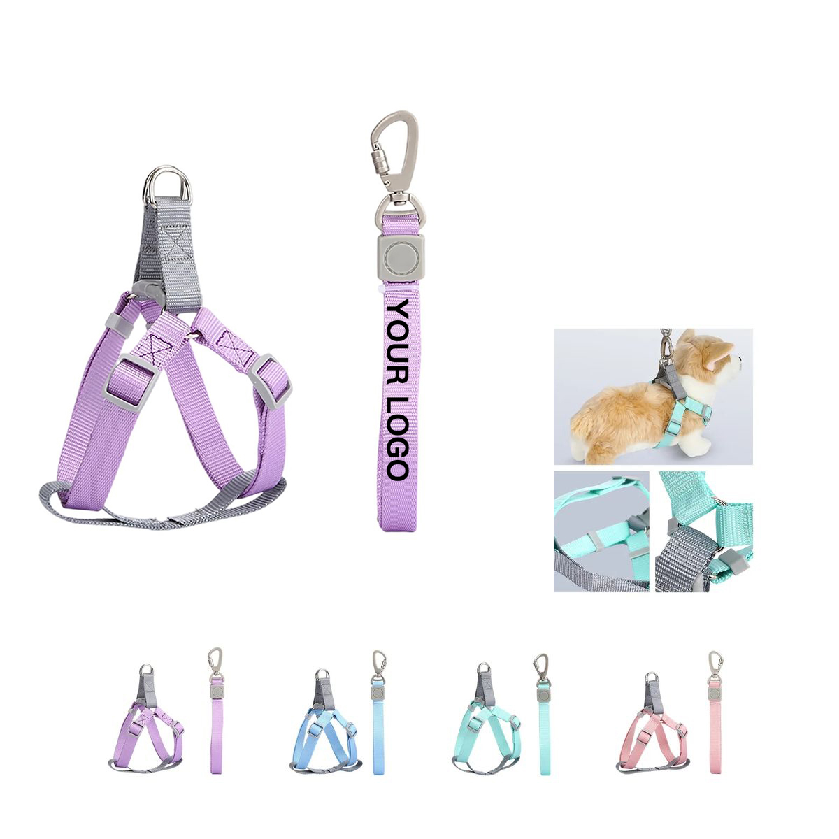 Durable Nylon Car and Walk Pet Leash 2