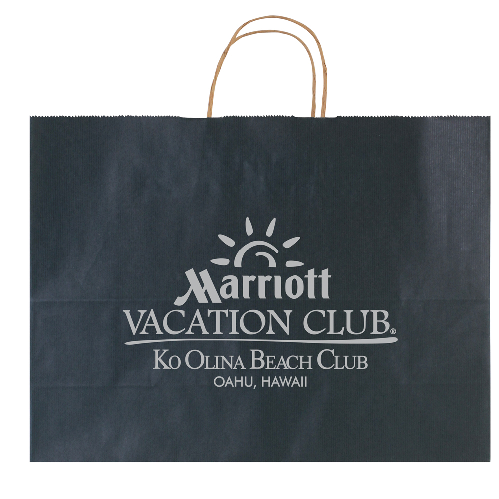 Striped Tinted Kraft Shopping Bags 9