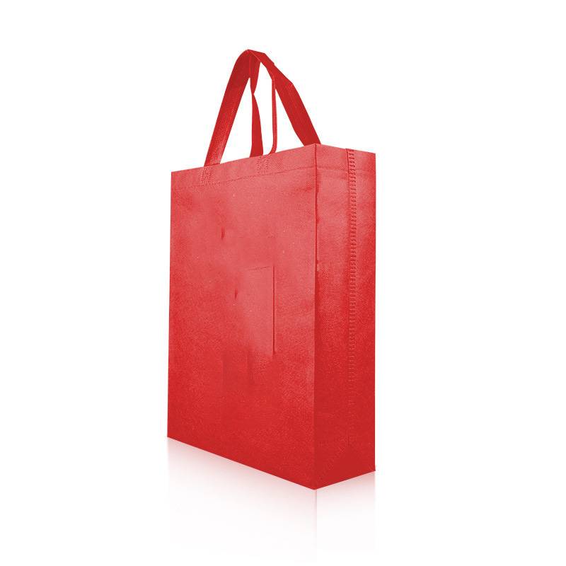 Non-Woven Expedia Tote Bag 2