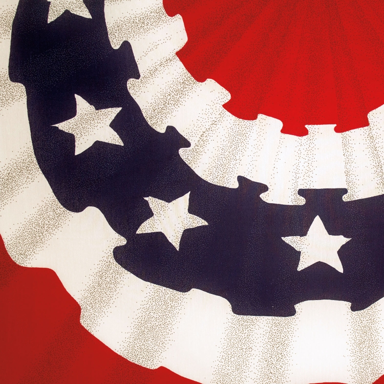 2' x 3' Patriotic Mirage Full Fan 3