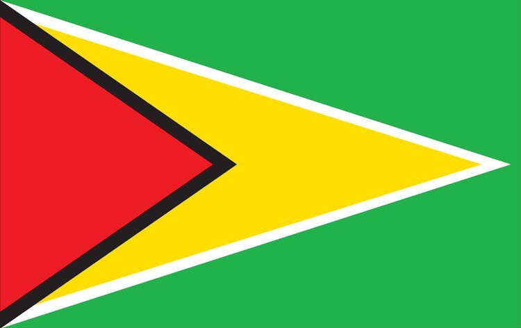 Guyana Flag - 2' x 3' - Nylon 2